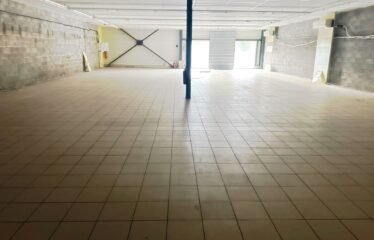 Local commercial zone commerciale Peipin (Sisteron)